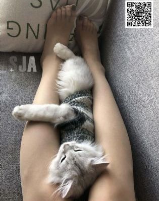 国产最好的木工带锯条_国产剧在线观看高清